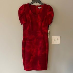 NWT Calvin Klein Red Floral Dress